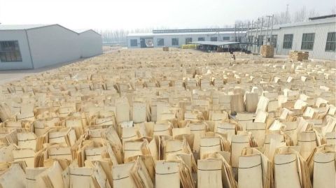 建筑模板我們只做高端貨插圖